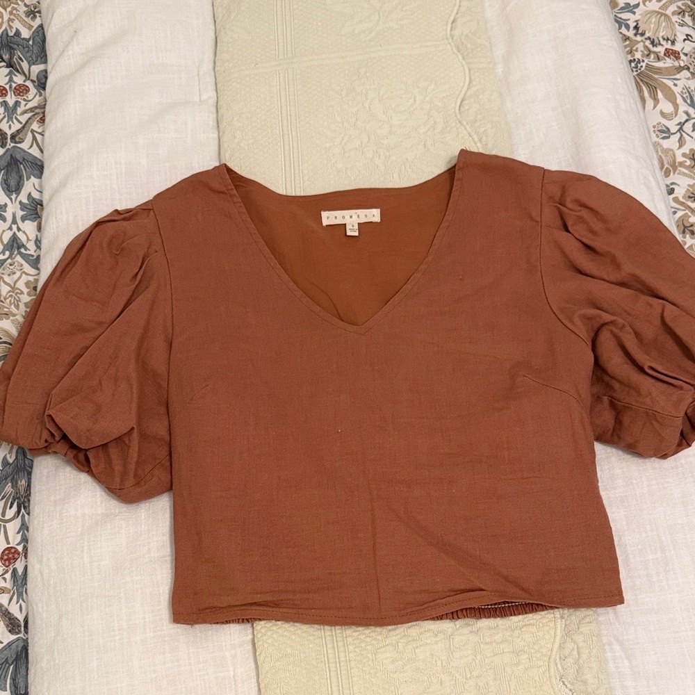 Promesa Terracotta Puff Sleeve Crop Top